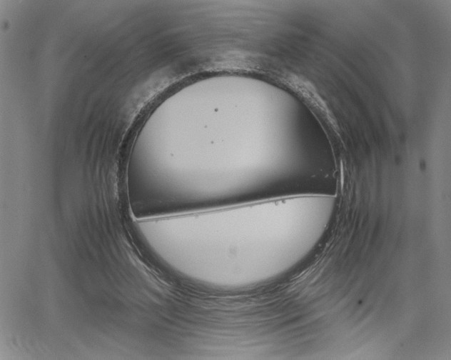 X0000067930204200604131115