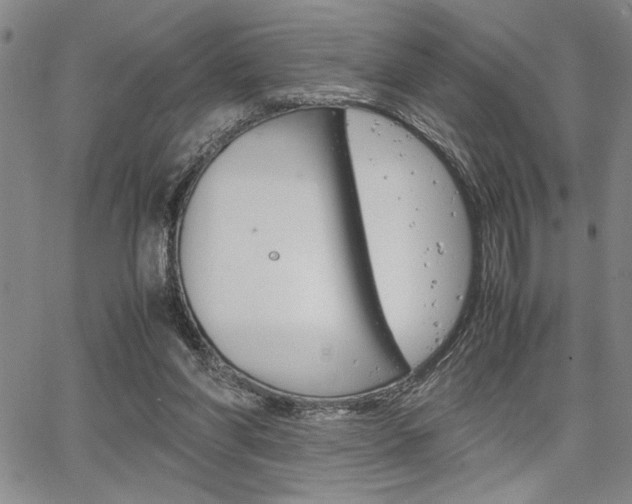 X0000067930206200604131115