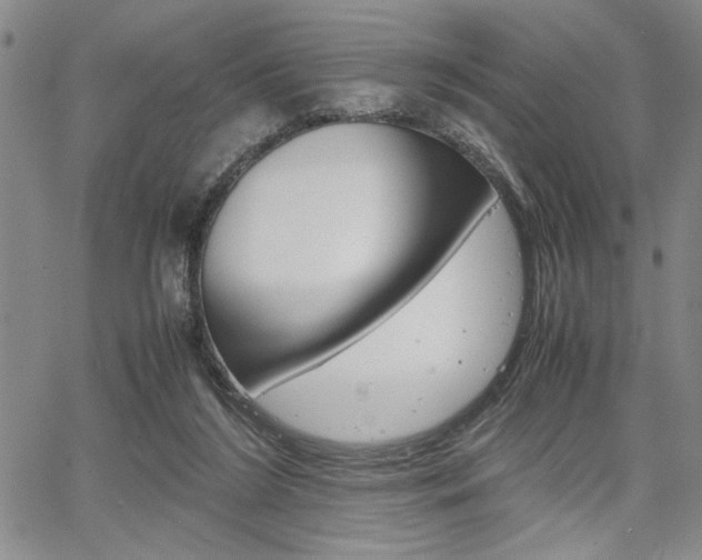 X0000067930212200604131114