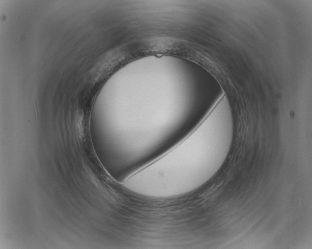 X0000067930216200604131114
