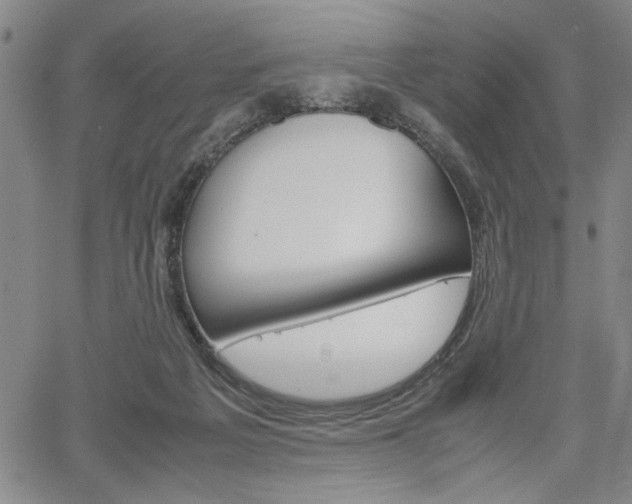X0000067930217200604131114
