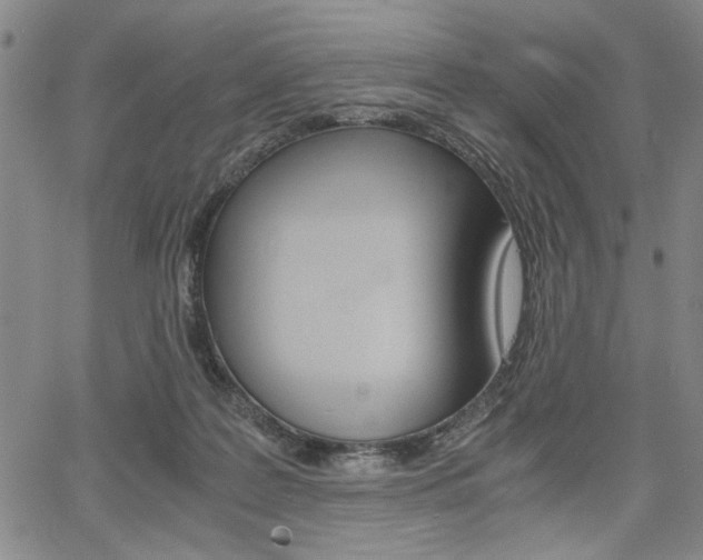 X0000067930219200604131114