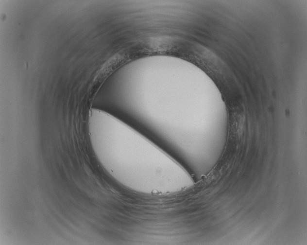 X0000067930220200604131114