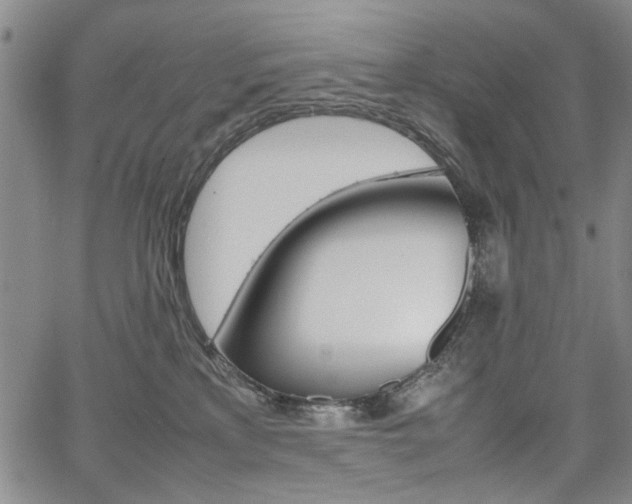 X0000067930233200604131114