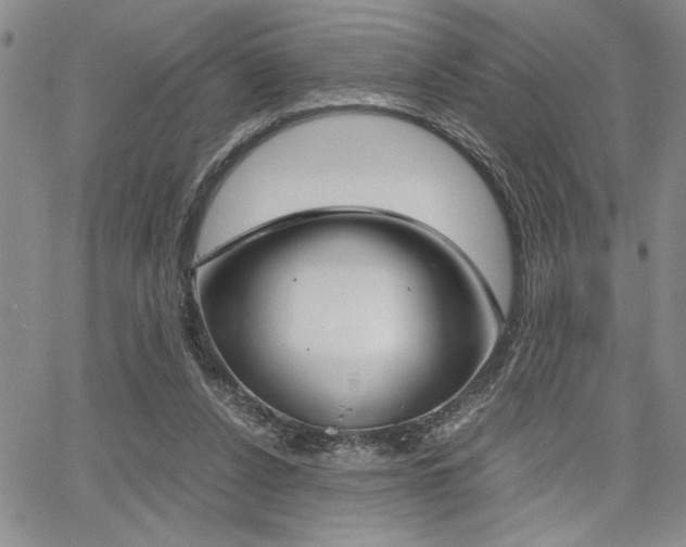 X0000067930256200604131113