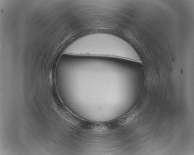 X0000067930262200604131114