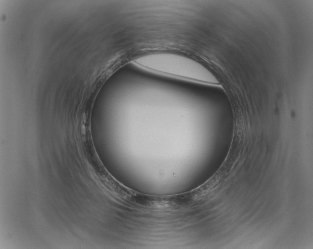 X0000067930264200604131114