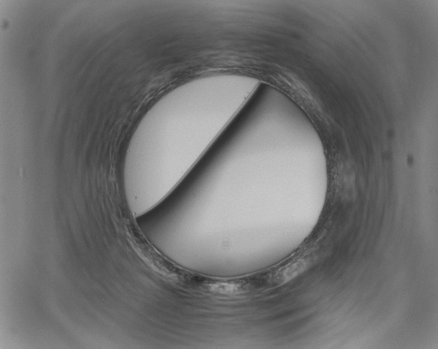 X0000067930265200604131114