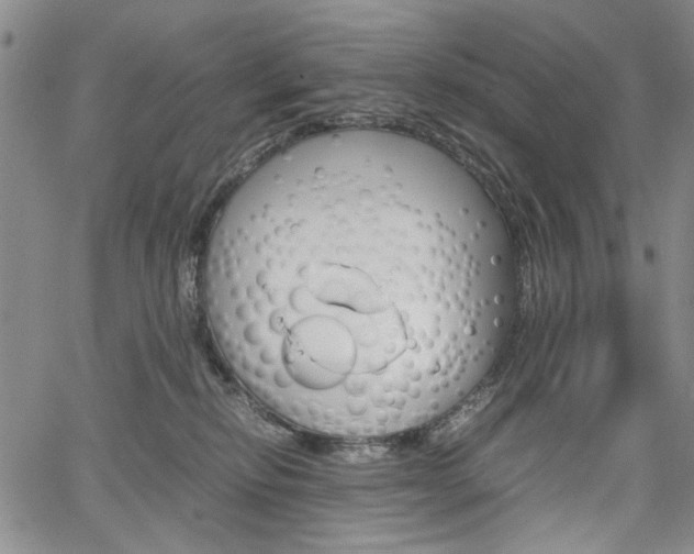 X0000067930278200604131114