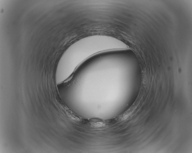 X0000067930287200604131114