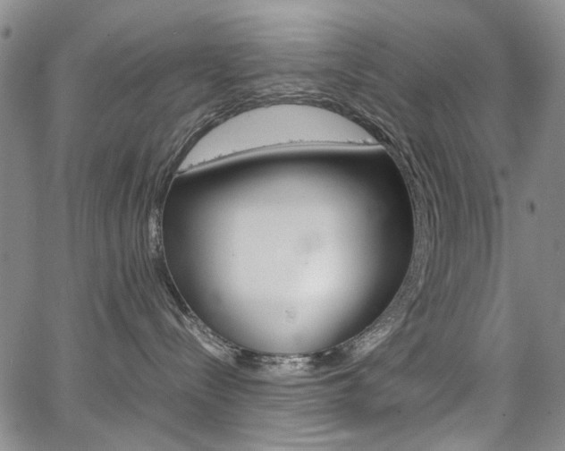 X0000067930288200604131114