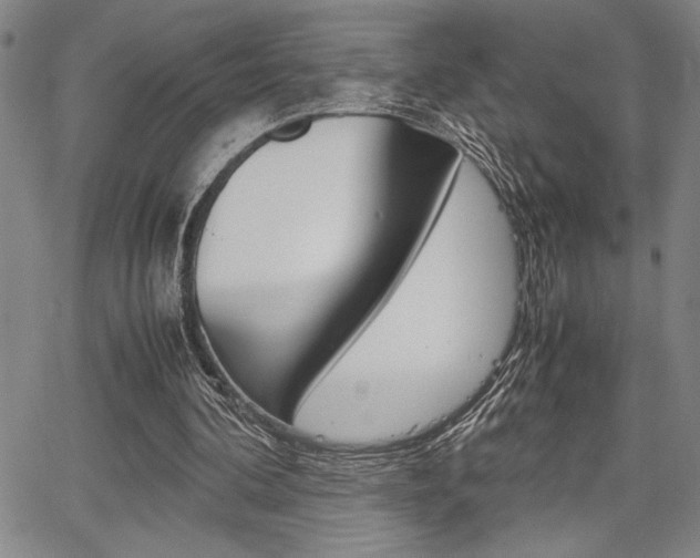 X0000067930292200604131113