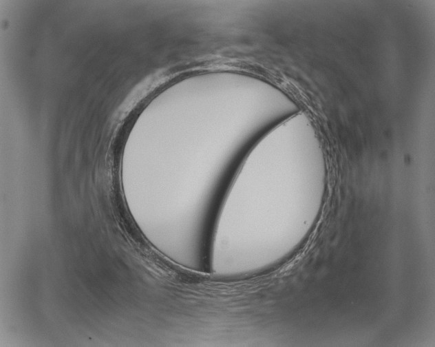 X0000067930295200604131113