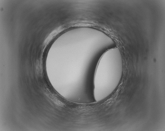 X0000067930296200604131113