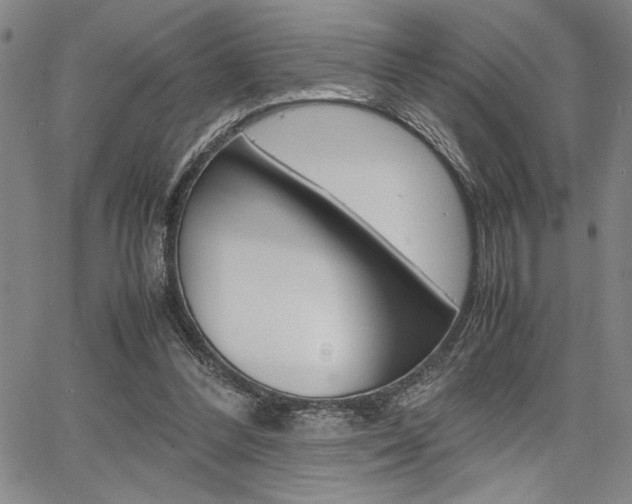 X0000067930300200604131113