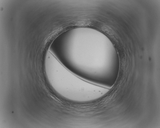 X0000067930303200604131113