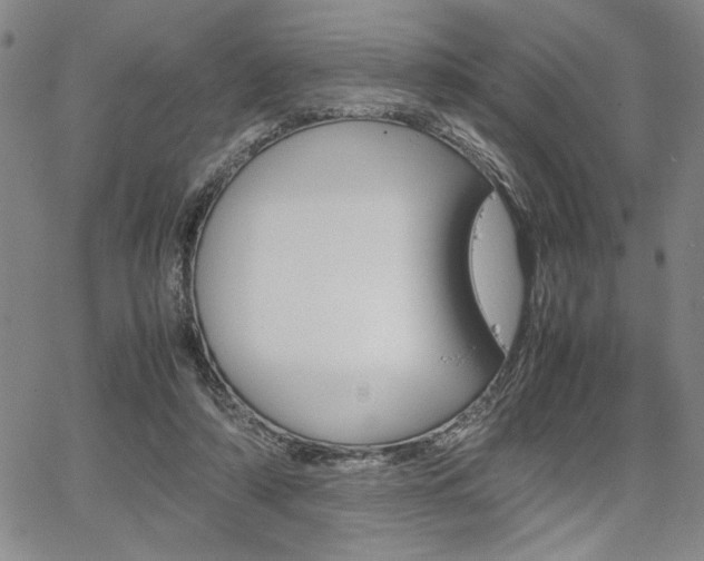 X0000067930306200604131113