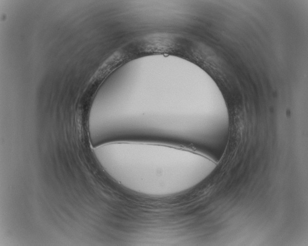 X0000067930312200604131113