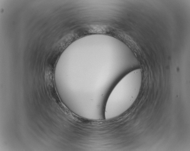 X0000067930322200604131113