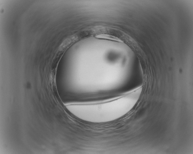 X0000067930333200604131112