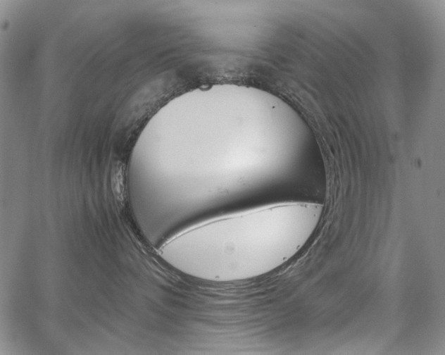 X0000067930336200604131112