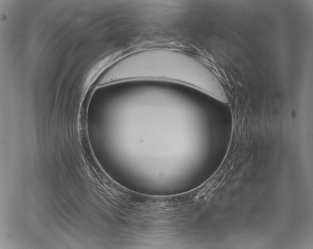 X0000067930340200604131112