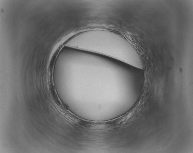 X0000067930342200604131112