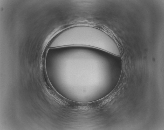 X0000067930344200604131112