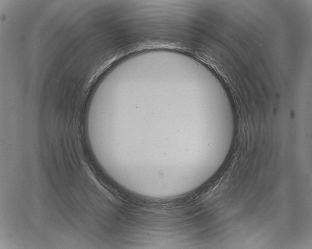 X0000067930352200604131112