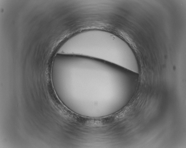 X0000067930354200604131112