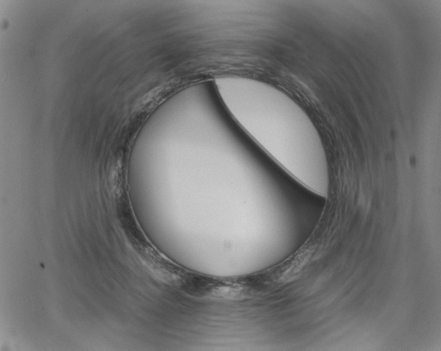 X0000067930364200604131112