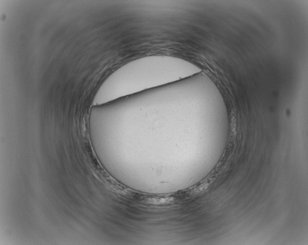 X0000067930375200604131112