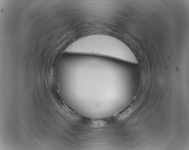 X0000067930376200604131112