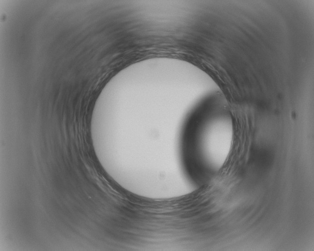 X0000067930380200604131112