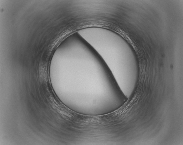 X0000067930386200604131112