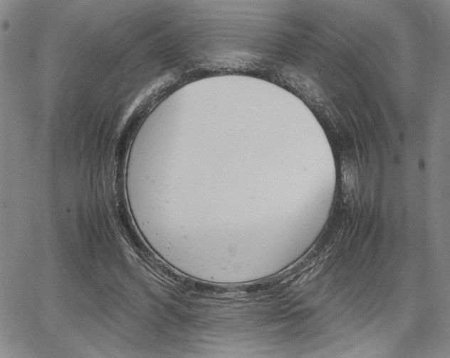 X0000067930396200604131111