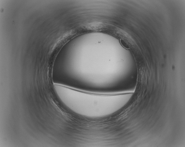 X0000067930404200604131111