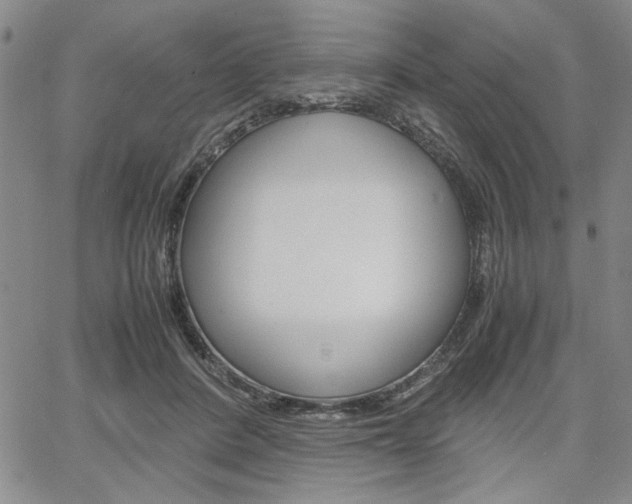X0000067930408200604131111