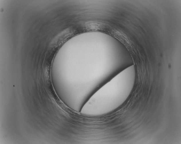 X0000067930410200604131111