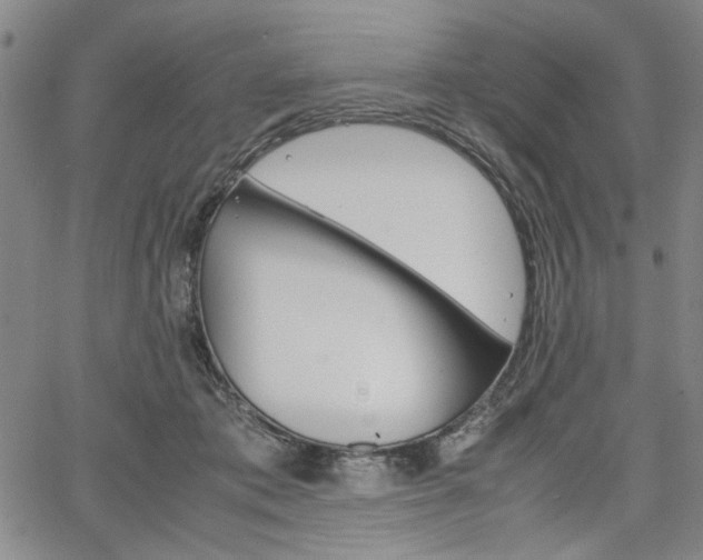 X0000067930413200604131111