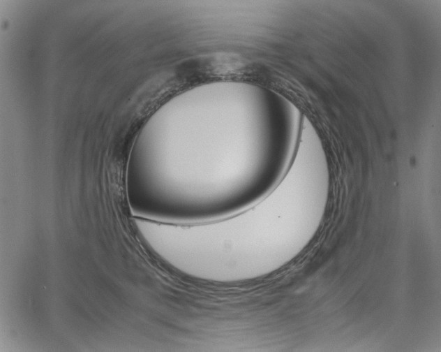 X0000067930421200604131111