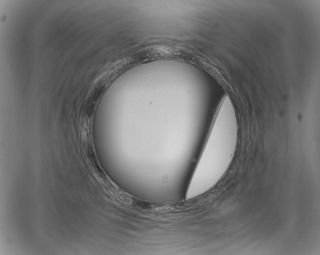 X0000067930423200604131111