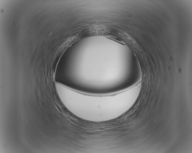 X0000067930429200604131111