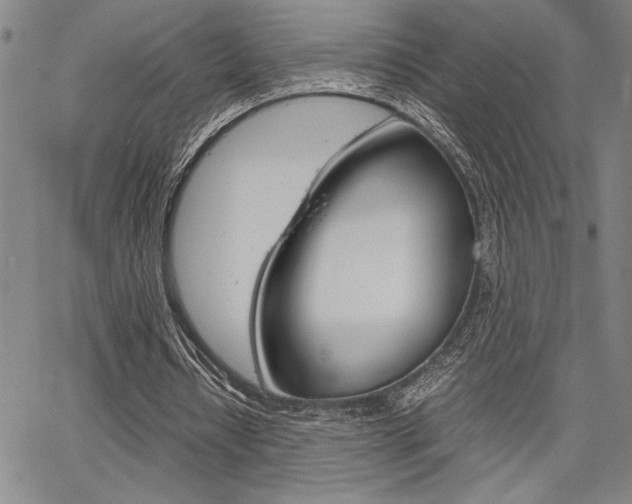 X0000067930434200604131110