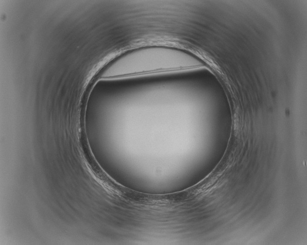 X0000067930438200604131110