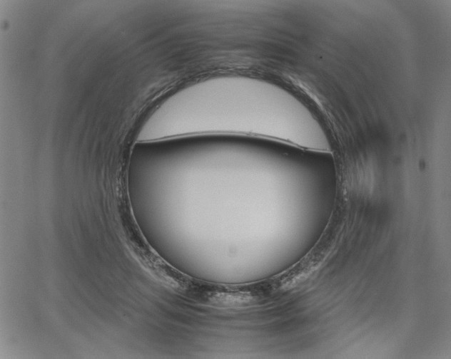 X0000067930455200604131110