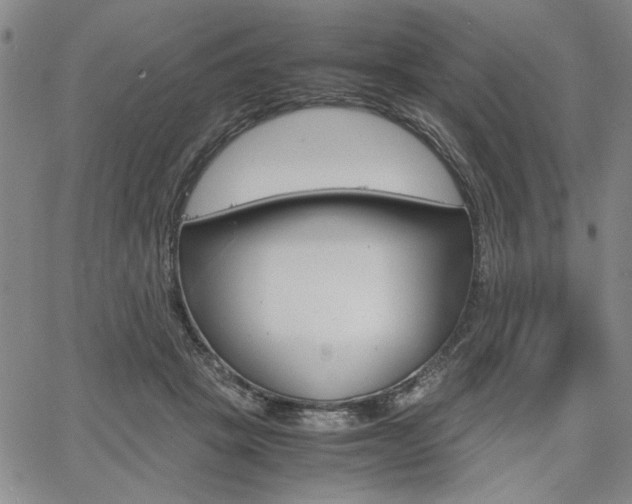 X0000067930457200604131110
