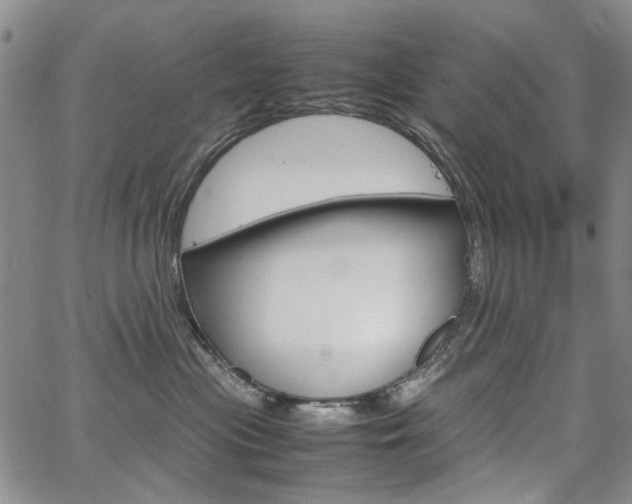 X0000067930477200604131111