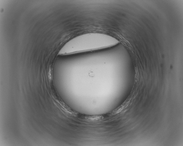 X0000067930479200604131111
