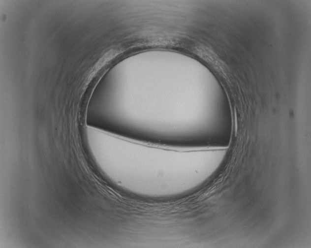 X0000067930483200604131110